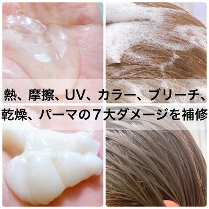 ã¹ãŒããŒãªããã¯ãªã¹ã¿ã«ããã«ããã¡ãŒãžãªãã¢ãã·ã£ã³ããŒ/ããªãŒãã¡ã³ã/LUX/åžè²©ã·ã£ã³ããŒã䜿ã£ãã¯ãã³ãïŒ2æç®ïŒ