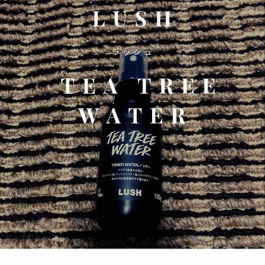 LUSH : TEA TREE WATER

マスクで肌荒れが酷くて酷くて
熱はこもるし、ニキビや赤みが出るし
悪循環しんどいな…
と、思ってた時にIGで気になるものを発見🌱

隙間時間にこれを振るだけ