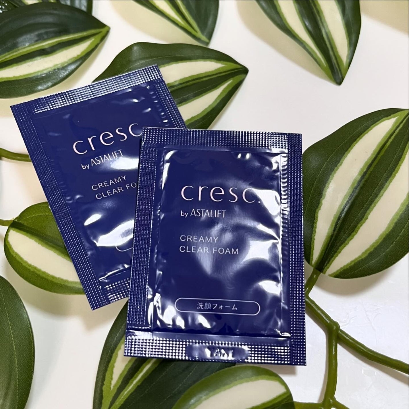 スムースフィット マルチシールド/cresc. by ASTALIFT/化粧下地を使ったクチコミ(7枚目)