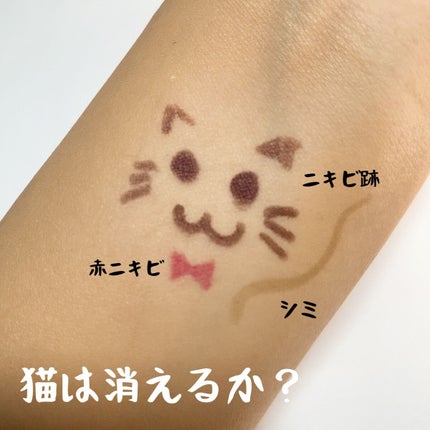 RMK リクイドファンデーション フローレスカバレッジ/RMK/リキッドファンデーションを使ったクチコミ(7枚目)