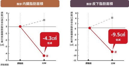 ナチュラスリム/ナチュラス/ボディサプリメントを使ったクチコミ(4枚目)