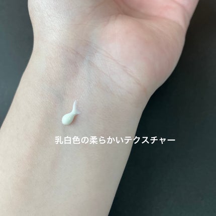 プロテクティング デイ クリーム 30g / SUQQU(スック) | LIPS プロテクティング デイ クリーム 30g / SUQQU(スック) | LIPS
