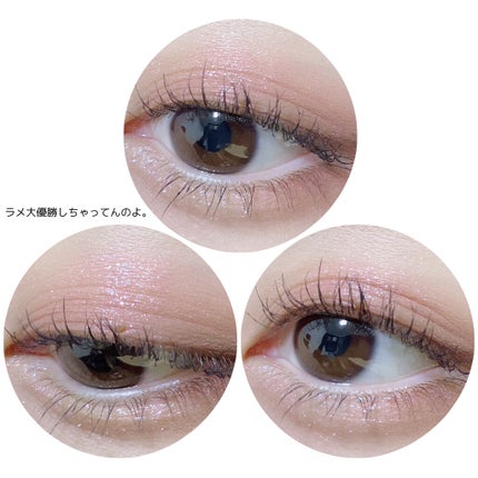 ナイストゥミーチュートランク VI 北半球/MAJOLICA MAJORCA/アイシャドウパレットを使ったクチコミ(3枚目)