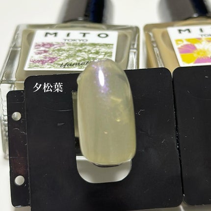 ミト ネイルカラー/MITO TOKYO/マニキュアを使ったクチコミ(9枚目)