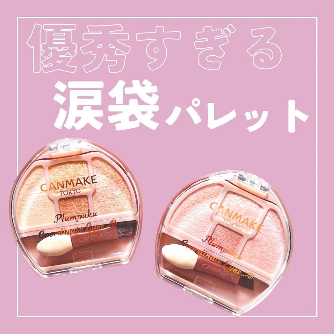プランぷくコーデアイズ/キャンメイク/パウダーアイシャドウを使ったクチコミ(1枚目)