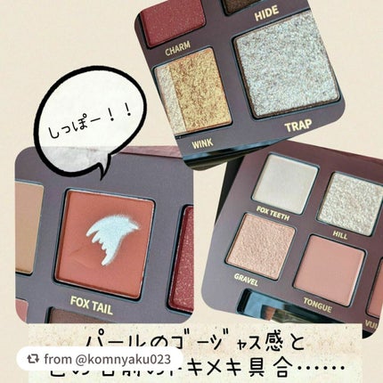 エクスプローラ12色 動物アイシャドウパレット/PERFECT DIARY/アイシャドウパレットを使ったクチコミ(3枚目)