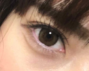 eye closet iDOL Series CANNA ROSE 1day/EYE CLOSET/ワンデー（１DAY）カラコンを使ったクチコミ（1枚目）