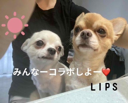 ローズ・パーフェクト/GIVENCHY/口紅を使ったクチコミ(9枚目)