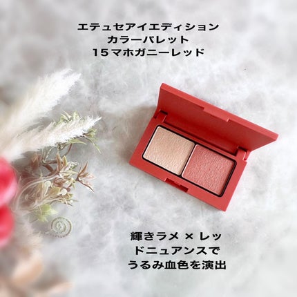 エテュセ アイエディション(マスカラ)/ettusais/マスカラを使ったクチコミ(2枚目)