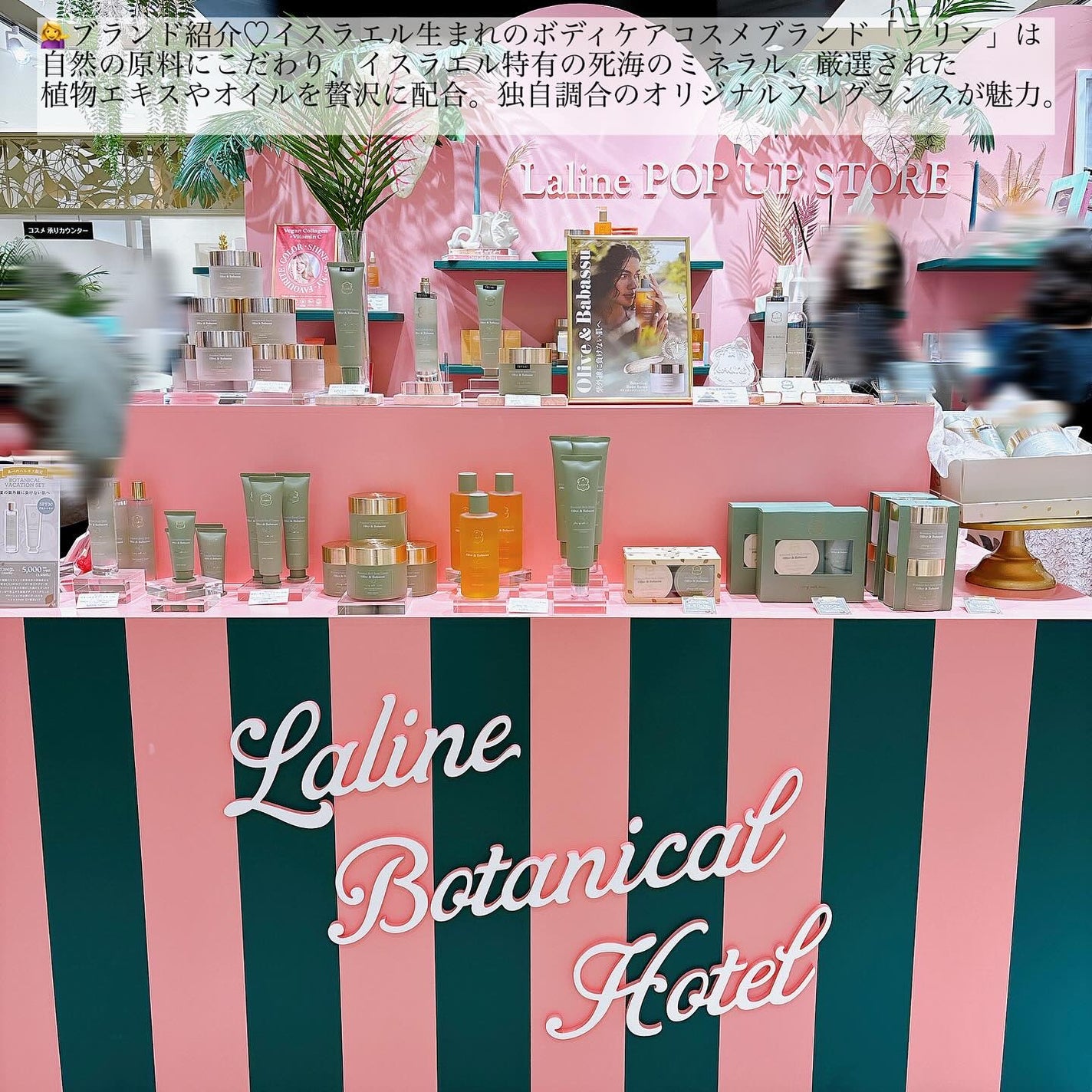 オリーブ&ババス ボタニカル ボディスクラブ/Laline/ボディスクラブを使ったクチコミ(3枚目)