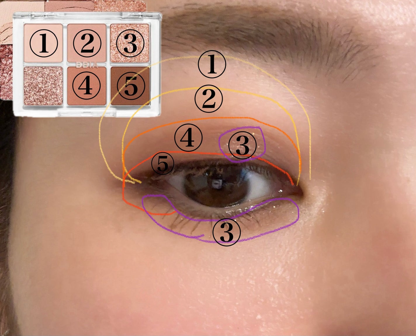 レディートゥーウェアアイパレット/BBIA/アイシャドウパレットを使ったクチコミ(2枚目)