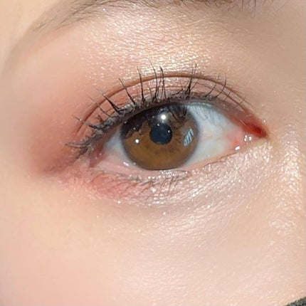 クロマティックス クワッド/shu uemura/アイシャドウパレットを使ったクチコミ(6枚目)