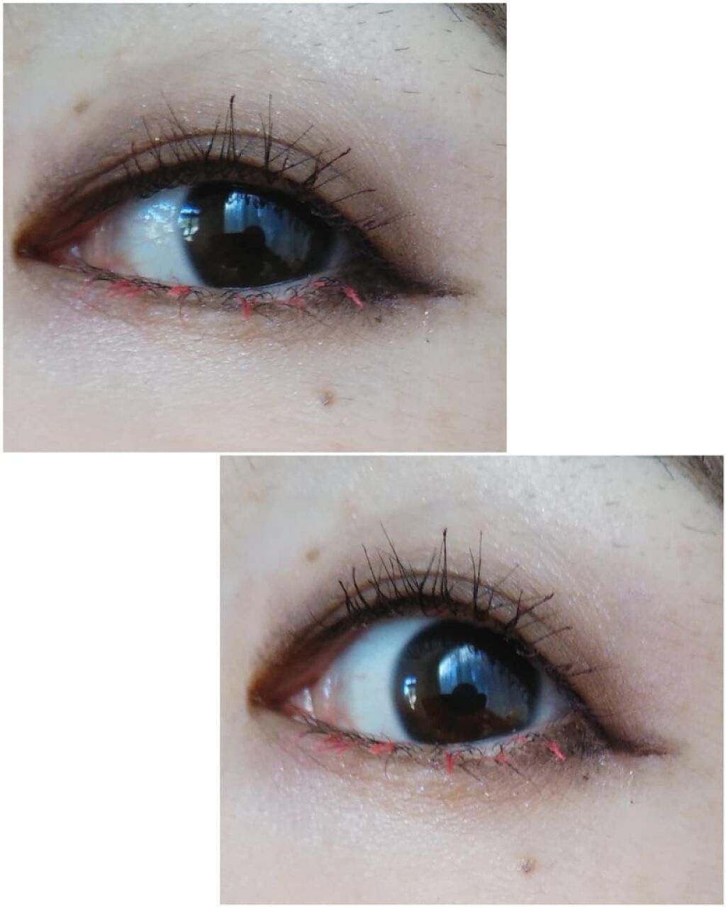 ã·ã³ã°ã«ã«ã©ãŒã¢ã€ã·ã£ããŠ/CEZANNE/åè²ã¢ã€ã·ã£ããŠã䜿ã£ãã¯ãã³ãïŒ2æç®ïŒ