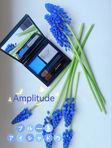 コンスピキュアス ダブルアイズ 09 ブルー/Amplitude/アイシャドウパレットを使ったクチコミ（1枚目）