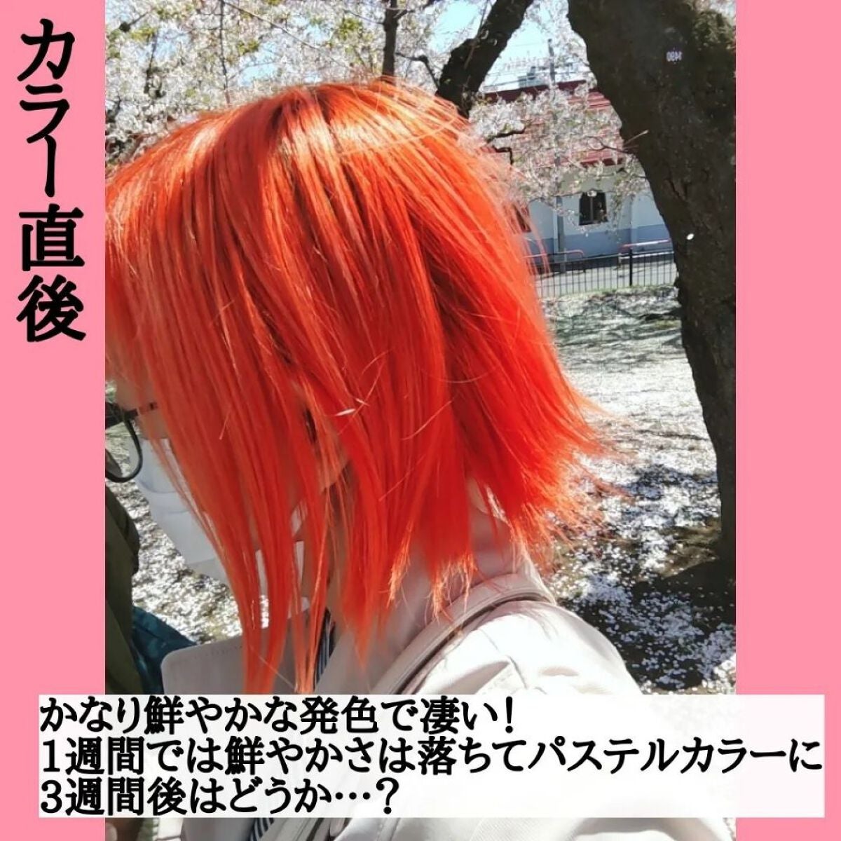 メイクアップカラー/ビューティーン/ヘアカラーを使ったクチコミ(2枚目)