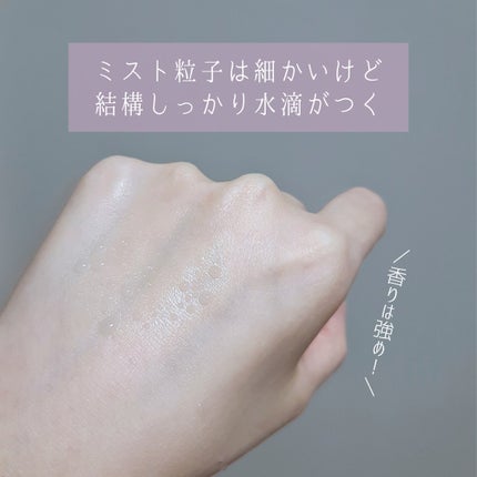 コンフォート デイミスト セット&プロテクト/DECORTÉ/ミスト状化粧水を使ったクチコミ(4枚目)