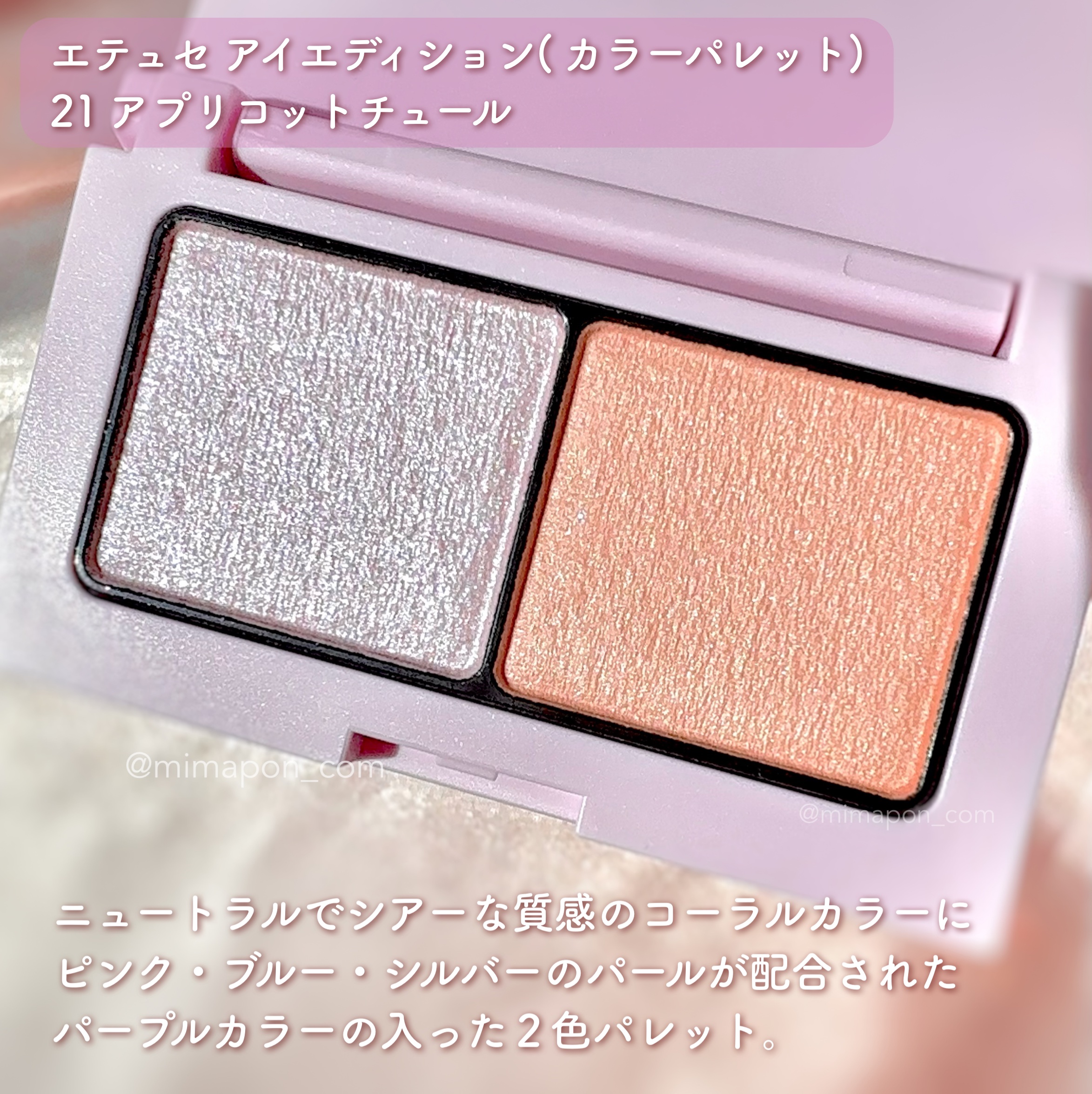 エテュセ アイエディション(カラーパレット)/ettusais/アイシャドウパレットを使ったクチコミ（2枚目）