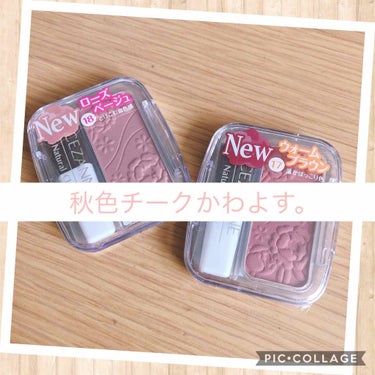 セザンヌ
ナチュラルチークN

360円（税別）

17 ウォームブラウン
18 ローズベージュ

セザンヌの秋チーク…。

またまたかわいい色出してくるやん…。

ウォームブラウンはオレンジ味のあるブ