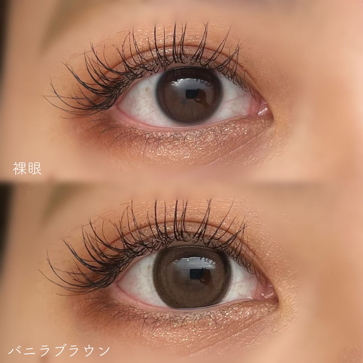 secretcandymagic 1day(シークレットキャンディーマジック)/secret candymagic/ワンデー(1DAY)カラコンを使ったクチコミ(5枚目)