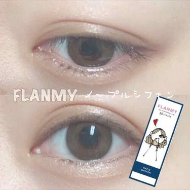 FLANMY 1day（10枚/30枚）/FLANMY/ワンデー（１DAY）カラコンを使ったクチコミ（1枚目）