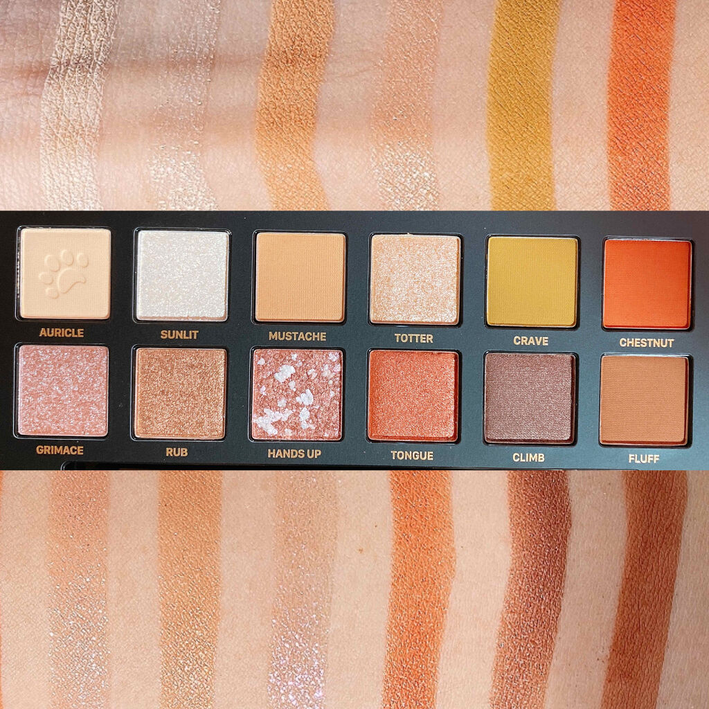 エクスプローラ12色 動物アイシャドウパレット｜PERFECT DIARYの使い方