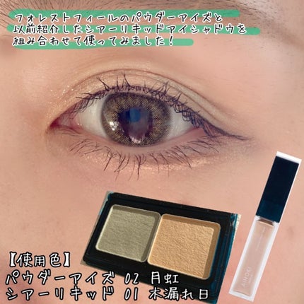 フォレスト フィール パウダー アイズ/AINOKI mebuki/アイシャドウパレットを使ったクチコミ(3枚目)