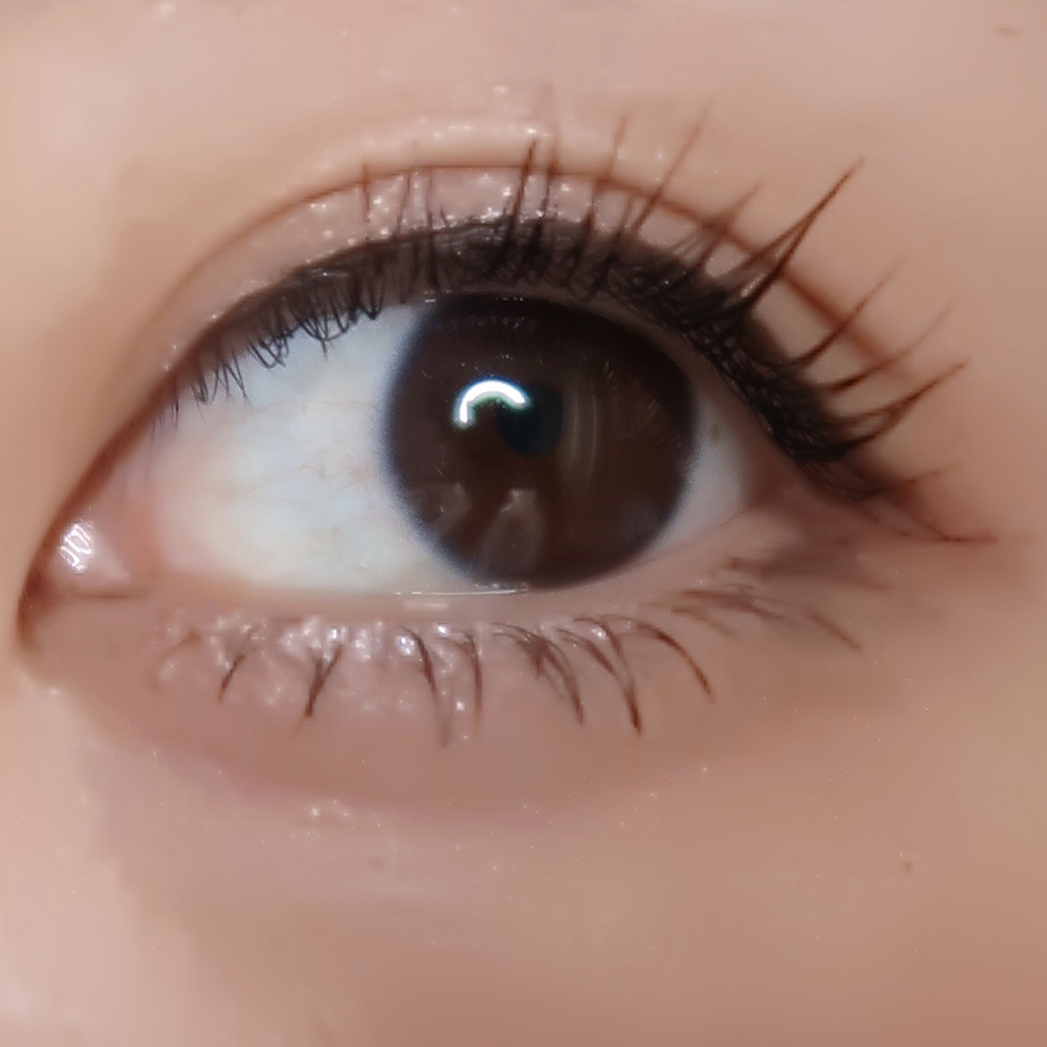 「塗るつけまつげ」部分用タイプ ピュアブラック/デジャヴュ/マスカラを使ったクチコミ（3枚目）