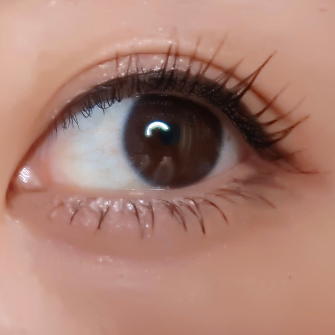 「塗るつけまつげ」部分用タイプ/デジャヴュ/マスカラを使ったクチコミ(3枚目)