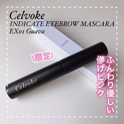 セルヴォーク インディケイトアイブロウマスカラ C/Celvoke/眉マスカラを使ったクチコミ(1枚目)