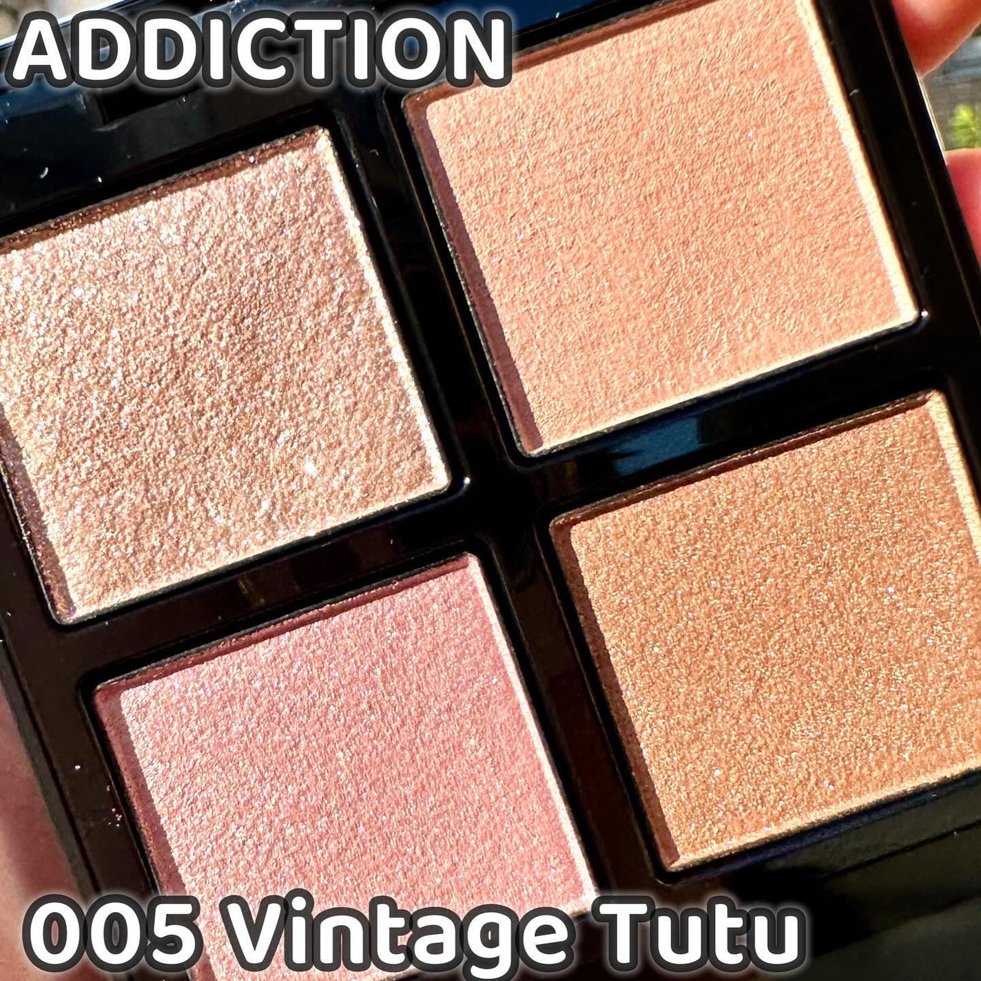 アディクション ザ アイシャドウ パレット/ADDICTION/アイシャドウパレットを使ったクチコミ(1枚目)