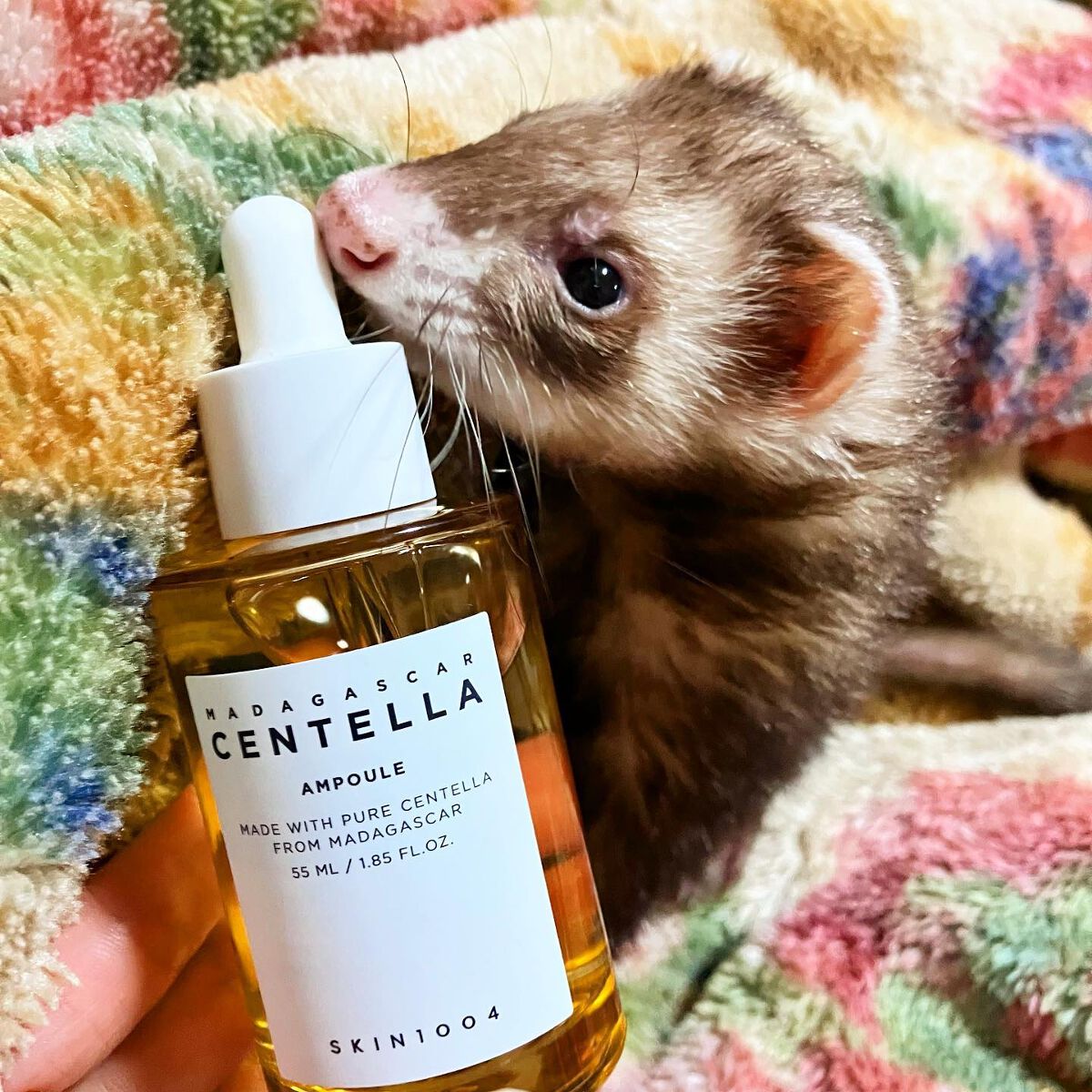 センテラ アンプル/SKIN1004/美容液を使ったクチコミ(2枚目)