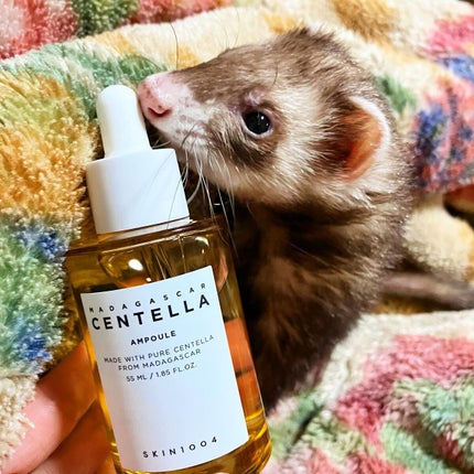 センテラ アンプル/SKIN1004/美容液を使ったクチコミ(2枚目)