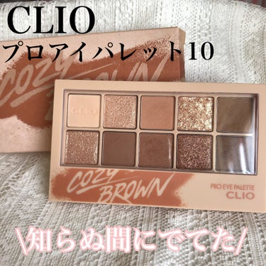 【10番でてたのは知らなかった】

CLIOプロ アイ パレット
10 COZY BROWN
値段…Qoo10で2000円程度

これ公式では売ってないんです…！
私はQoo10の
「theplus b