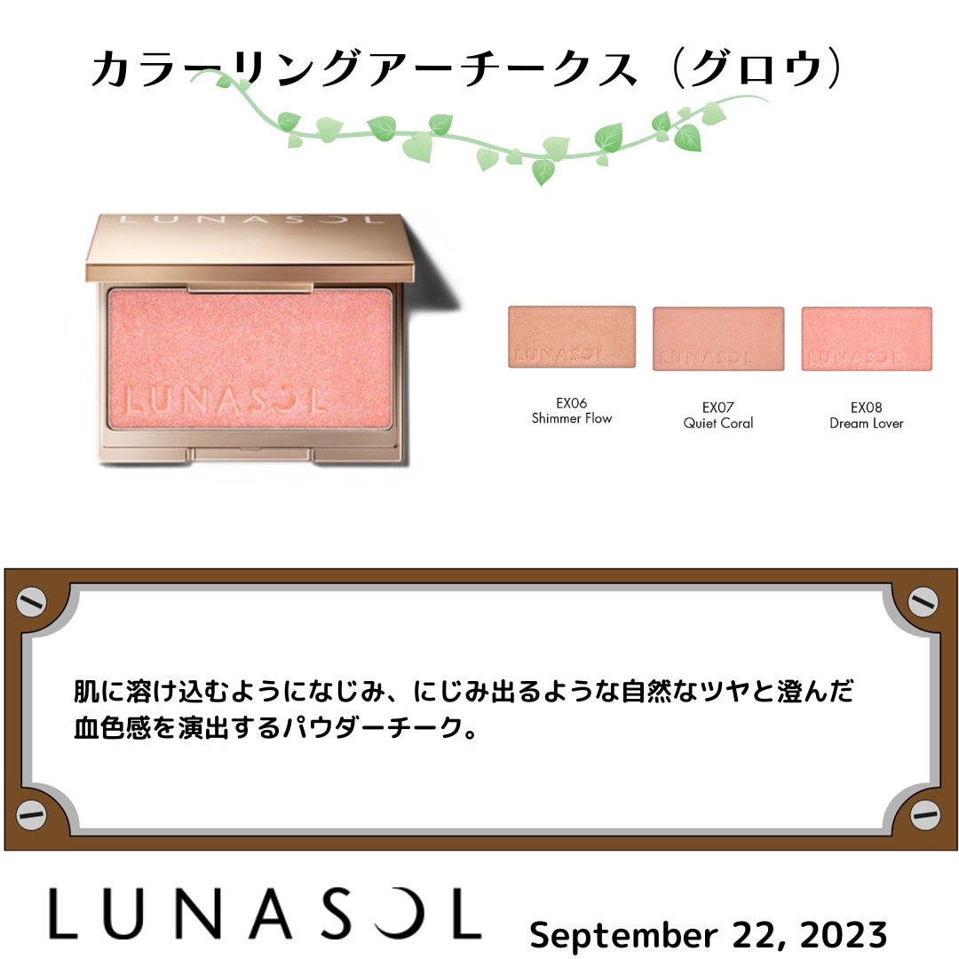 アイカラーレーション/LUNASOL/アイシャドウパレットを使ったクチコミ(6枚目)