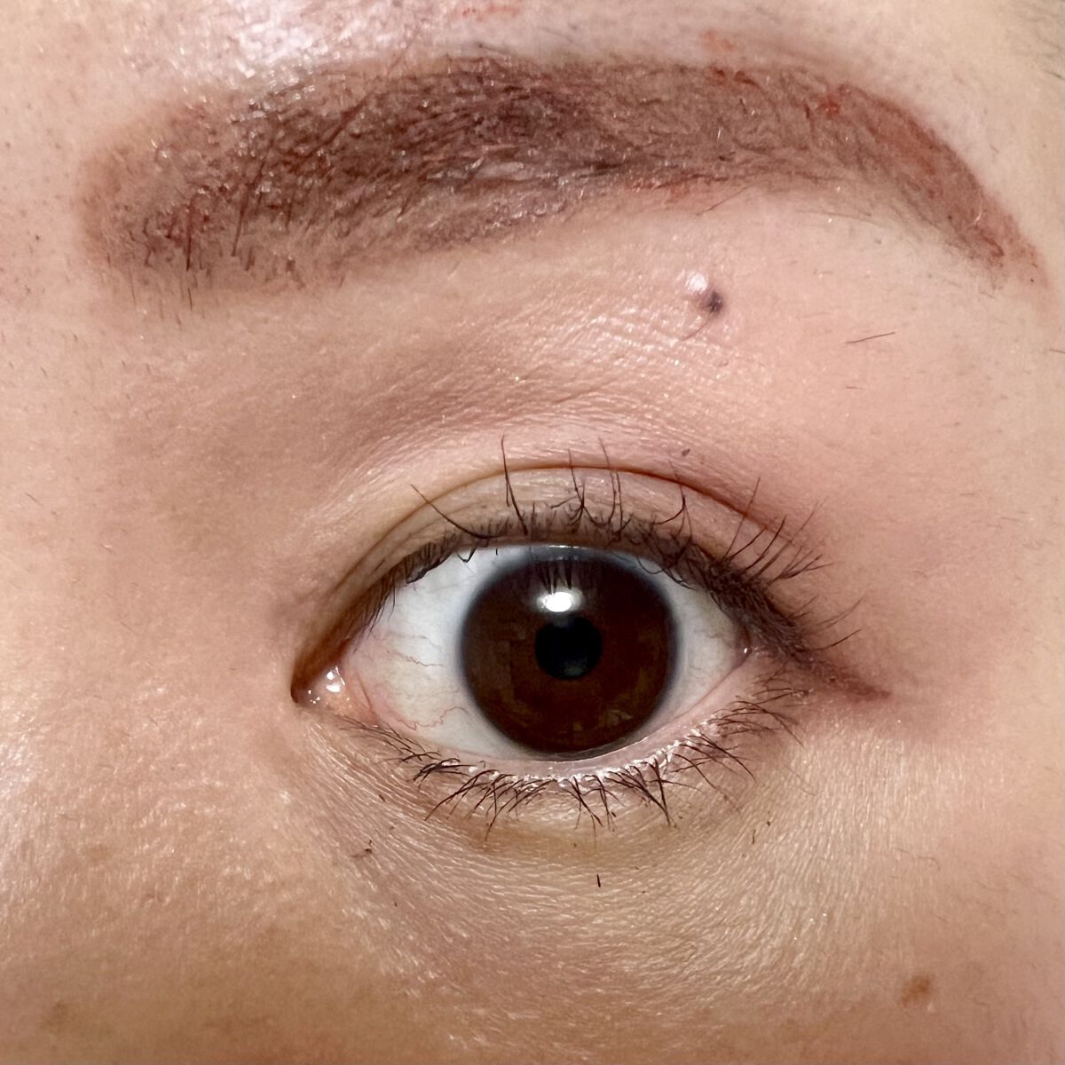 ウォンジョンヨ Ｗ デイリームードアップパレット /Wonjungyo/アイシャドウパレットを使ったクチコミ（3枚目）