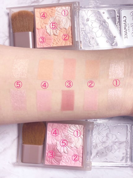 グロウフルールチークス(ブレンドタイプ)/キャンメイク/パウダーチークを使ったクチコミ(4枚目)