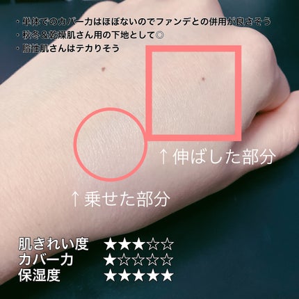 ステイフェイクサースリークプライマーバーム/wakemake/化粧下地を使ったクチコミ(7枚目)