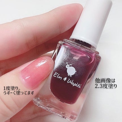 フラッフィーネイル/elm&wapiti/マニキュアを使ったクチコミ(4枚目)