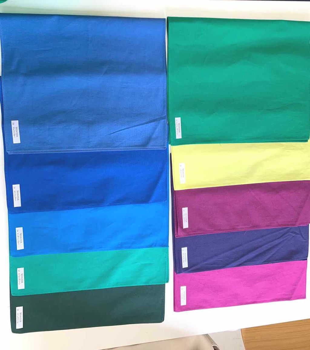 よう on LIPS 「パーソナルカラー診断に行ってきました。まさかの1stウィンター..」(1枚目)