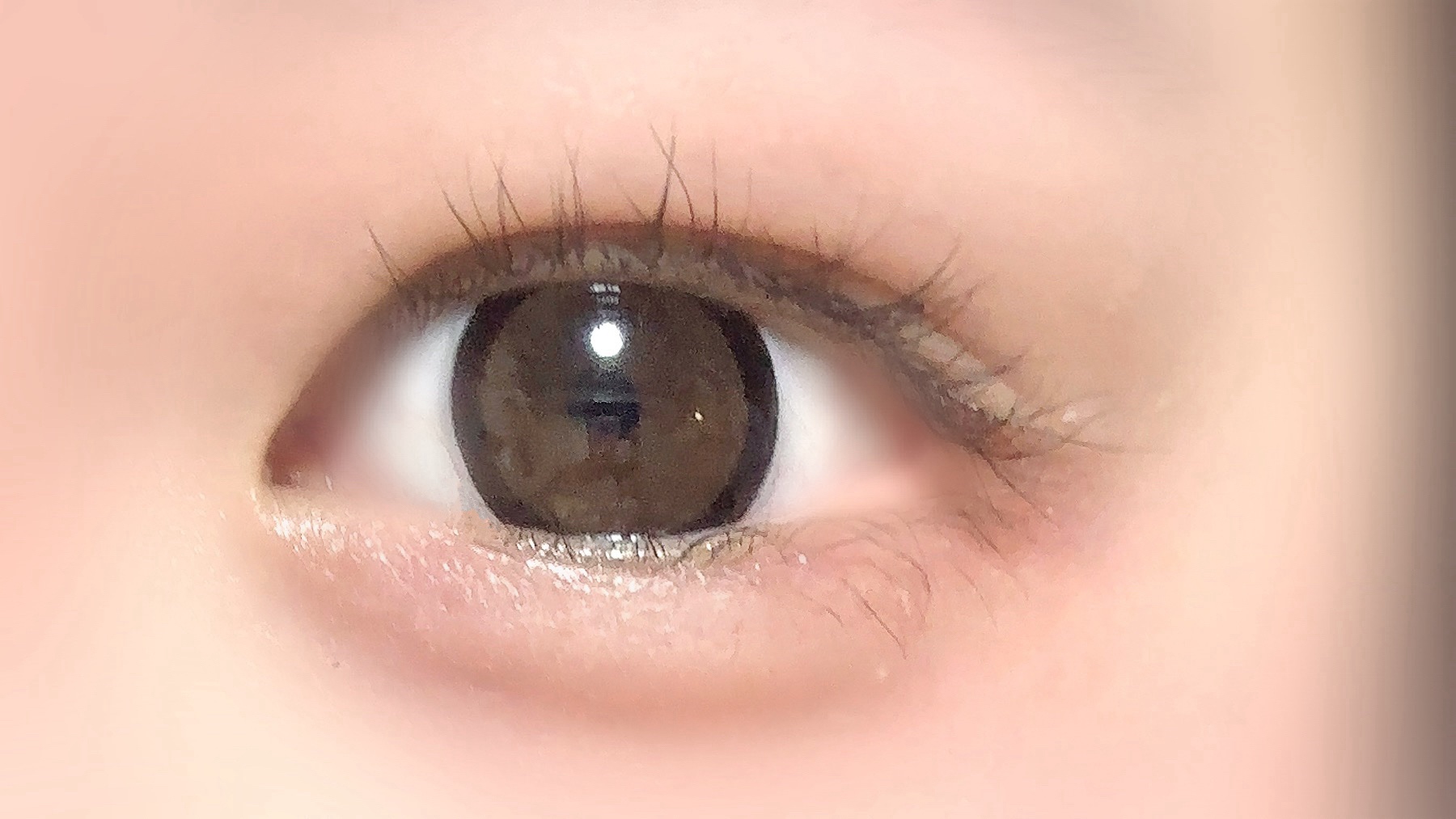 Angelcolor Bambi Series 1day  アーモンド/AngelColor/ワンデー（１DAY）カラコンを使ったクチコミ（1枚目）