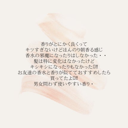 ハイドレート シャンプー/コンディショナー コンディショナー 250ml/AUTHENTIC BEAUTY CONCEPT/サロンシャンプーの画像