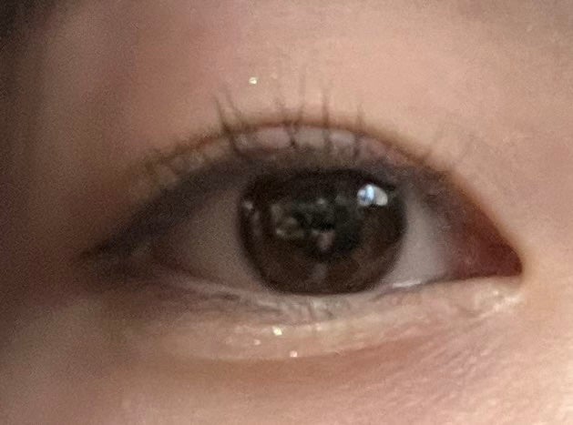 耐久カールマスカラ/CEZANNE/マスカラを使ったクチコミ(2枚目)