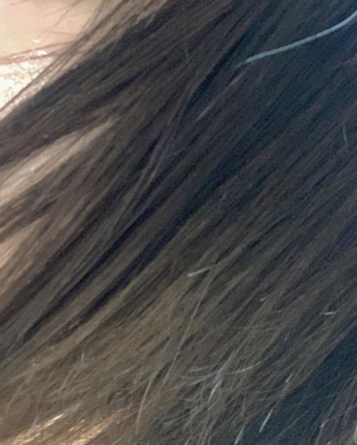 パフュームヘアエッセンス/JUL7ME/ヘアトリートメントを使ったクチコミ(5枚目)