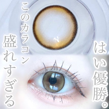 を使ったクチコミ(1枚目)