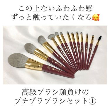 ROWNYEON 緑姫シリーズ メイクブラシ１３本セット 化粧ポーチ付き/Rownyeon/メイクブラシを使ったクチコミ（1枚目）