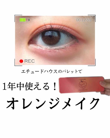 プレイカラー アイシャドウ/ETUDE/アイシャドウパレットを使ったクチコミ(1枚目)