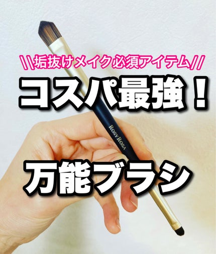 ダブルエンドコンシーラーブラシ/ロージーローザ/メイクブラシを使ったクチコミ(1枚目)