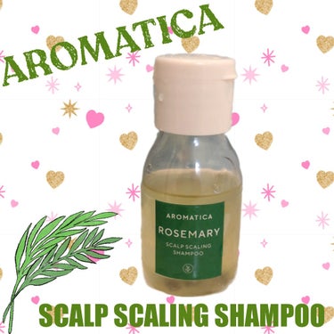 ローズマリー スカルプ シャンプー/コンディショナー﻿/AROMATICA/シャンプー・コンディショナーを使ったクチコミ（1枚目）