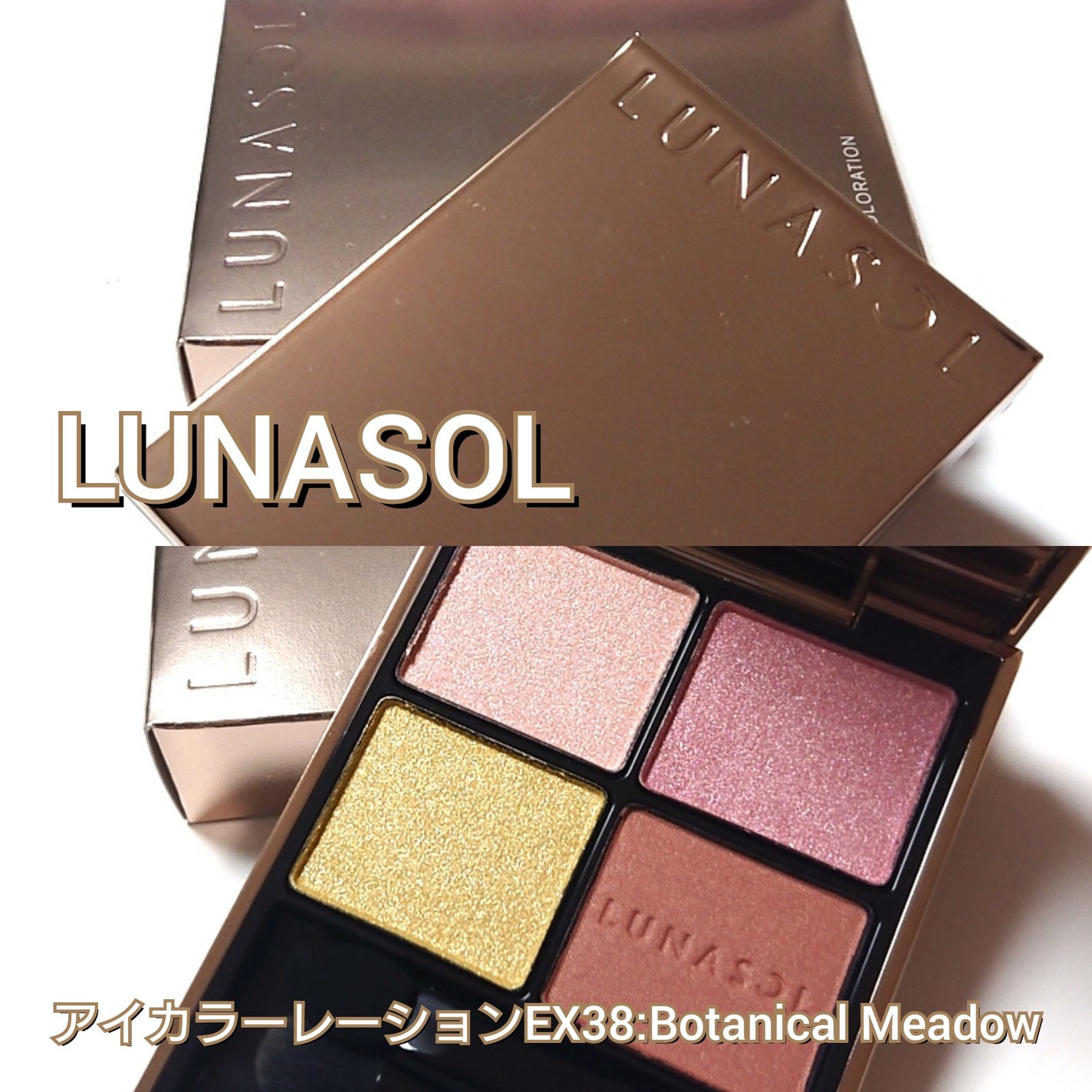 アイカラーレーション/LUNASOL/アイシャドウパレットを使ったクチコミ(2枚目)