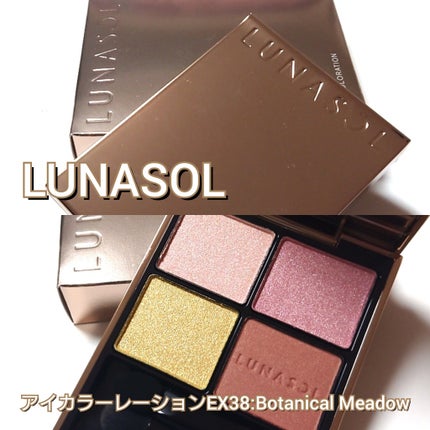 アイカラーレーション/LUNASOL/アイシャドウパレットを使ったクチコミ(2枚目)